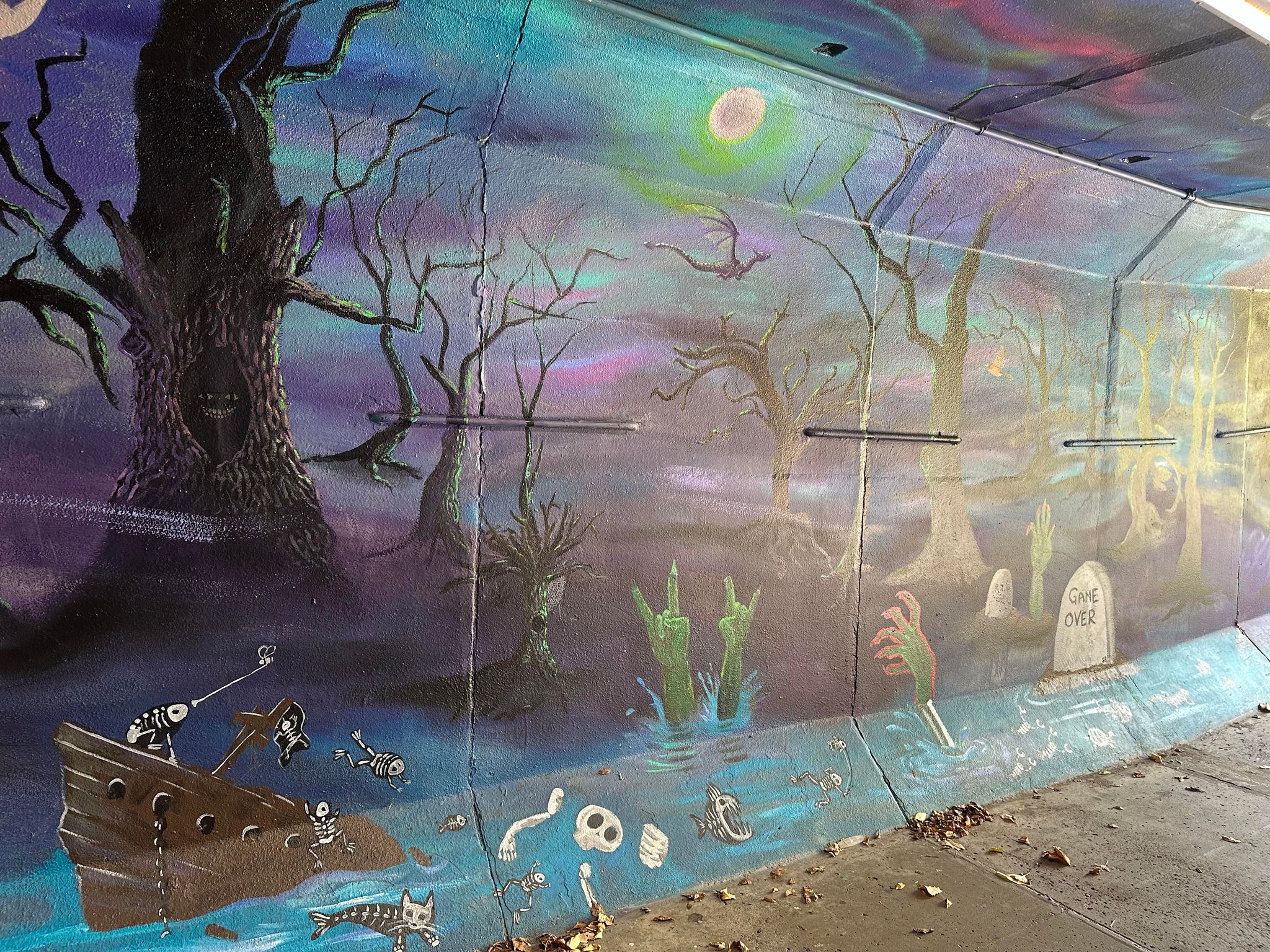 Tunnel Mural Photo 13