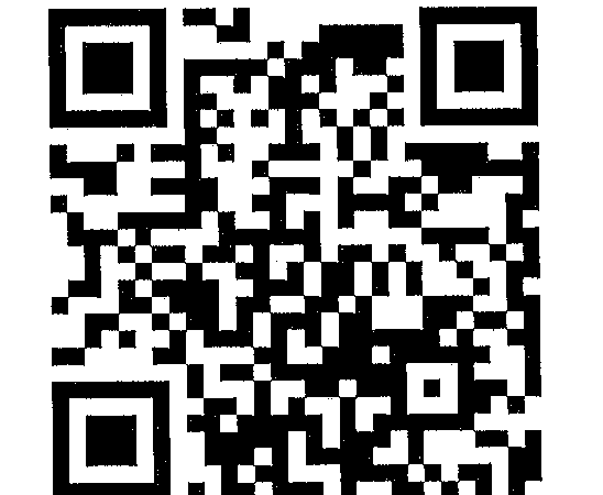 QR Code november 4, 2025